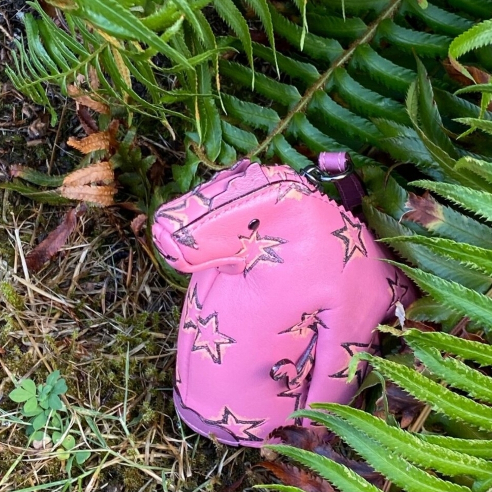 Coach Vibrant Pink Leather Hobo Bag With Wallet And Dinosaur Coin Purse - Picture 4 of 7